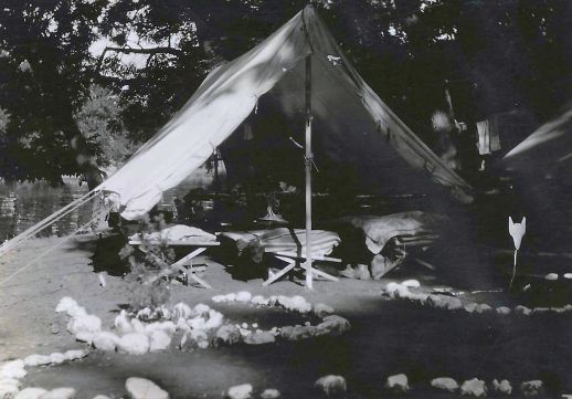 Camp Geronomino