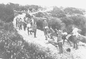 First Troop in
                  Sonora 1915